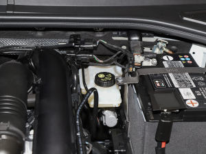 2021200TSI DSGӢ(lin) 