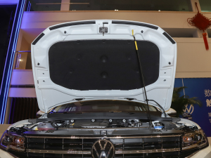 2021200TSI DSGӢ(lin) 