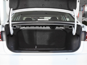 20211.5L քӕr(lin) g