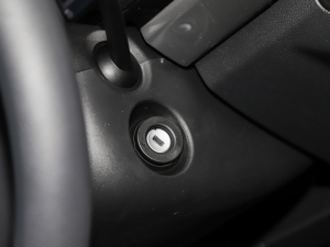 20211.5L քӕr(lin) g