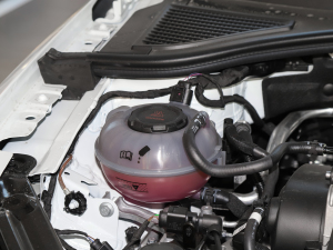 20211.5L ք(dng)r(sh)(lin) 