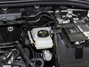 20211.5L ք(dng)r(sh)(lin) 