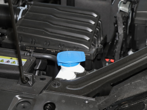 20211.5L ք(dng)r(sh)(lin) 