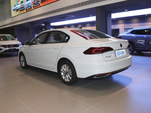 20211.5L ԄӾӢ(lin) 45