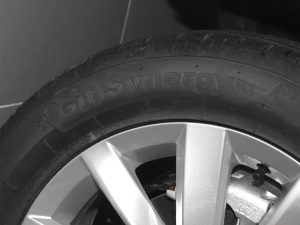 20211.5L Ԅ(dng)Ӣ(lin) (x)(ji)^