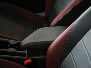 2021200TSI DSGӢ(lin) g