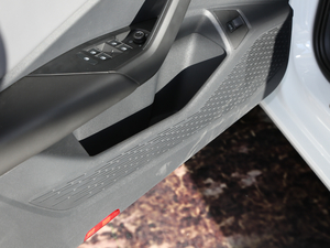 2021280TSI DSGA(lin) ǰTg