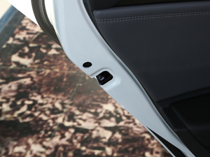 2021280TSI DSGA(lin) g