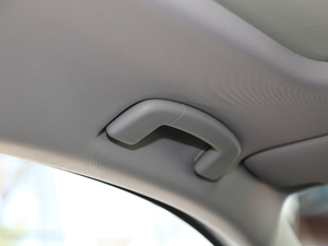 2021280TSI DSGA(lin) g