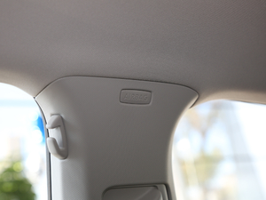 2021280TSI DSGA(lin) g