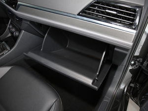 2021200TSI DSGm(lin) g