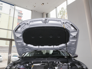 2021款280TSI DSG舒适智联版 其它