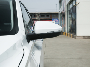 2021款200TSI 手动舒适智联版 后视镜