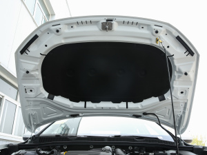 2021款200TSI 手动舒适智联版 其它