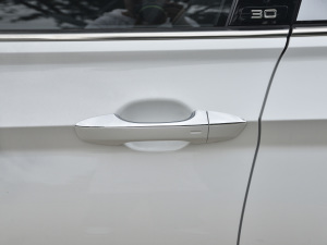 2021款280TSI DSG 30周年纪念版 主驾门拉手