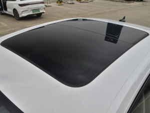 2021款280TSI DSG 30周年纪念版 车顶