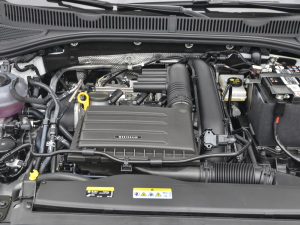 2021款280TSI DSG 30周年纪念版 其它