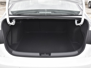 2021280TSI DSG׿Խ g