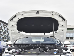 2021款280TSI DSG卓越版 其它