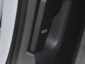 2021280TSI DSGm(lin) п؅^(q)