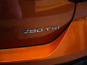 2021280TSI DSGm ^