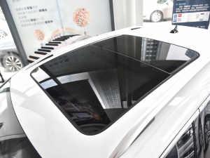 2021款改款 280TSI DSG两驱精英智联版 车顶