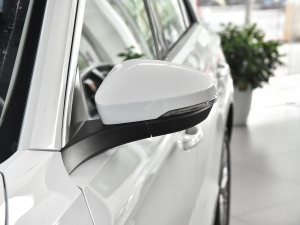 2021Ŀ 280TSI DSG򌾫Ӣ ^