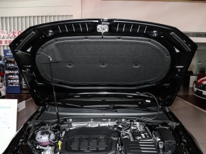 2020款330TSI DSG尊贵型 其它