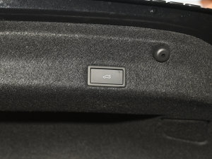 2021330TSI DSG 30o g