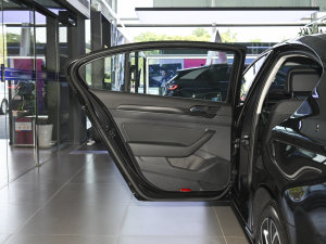 2021款330TSI DSG 30周年纪念版 左后车门