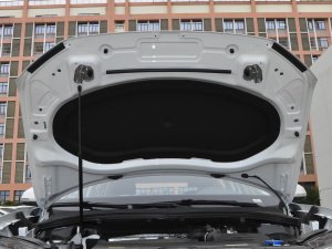 2021330TSI (q)A(lin) 