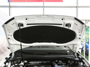 2021380TSI (q)R-Line(lin) 