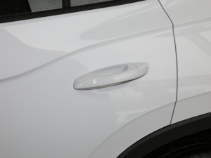 2021330TSI (q)A(lin)Plus (ji)^