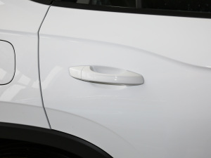 2021330TSI (q)A(lin)Plus (ji)^