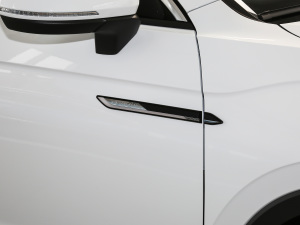 2021330TSI (q)A(lin)Plus (ji)^