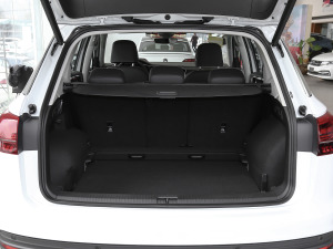 2021330TSI APlus g