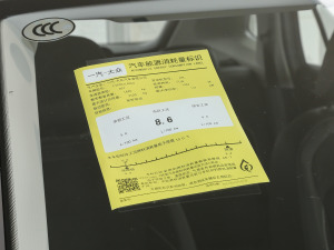 2021330TSI (q)A(lin)Plus ŲͺĘ(bio)ʾ