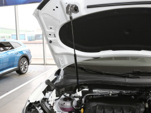 2021330TSI (q)A(lin)Plus 