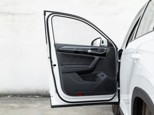 2021380TSI APro {λ܇T