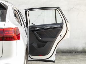 2021380TSI (q)A(lin)Pro g