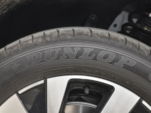 2021330TSI (q)30o(j) ݆̥Ʒ