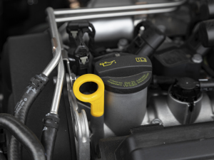 2021280TSI (q)m(lin) 