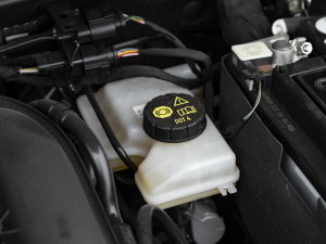 2021280TSI (q)m(lin) 