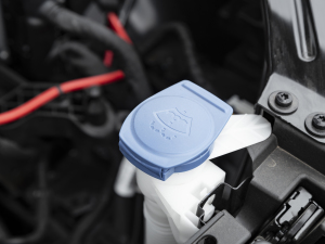 2021280TSI (q)m(lin) 