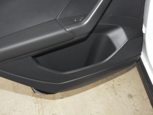 2021280TSI DSGPro g