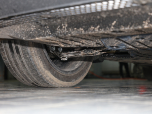 2021Lm(x)PURE+ (x)(ji)^