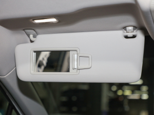 2021L(zhng)m(x)PURE+ (yng)壨