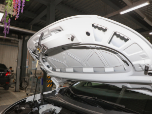 2021Lm(x)PURE+ l(f)әC(j)œ