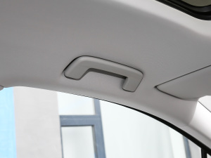 2021530TSI ŞپPro g