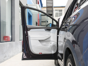 2021530TSI ŞپPro {λ܇T